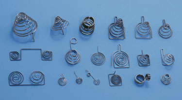 Battery spring